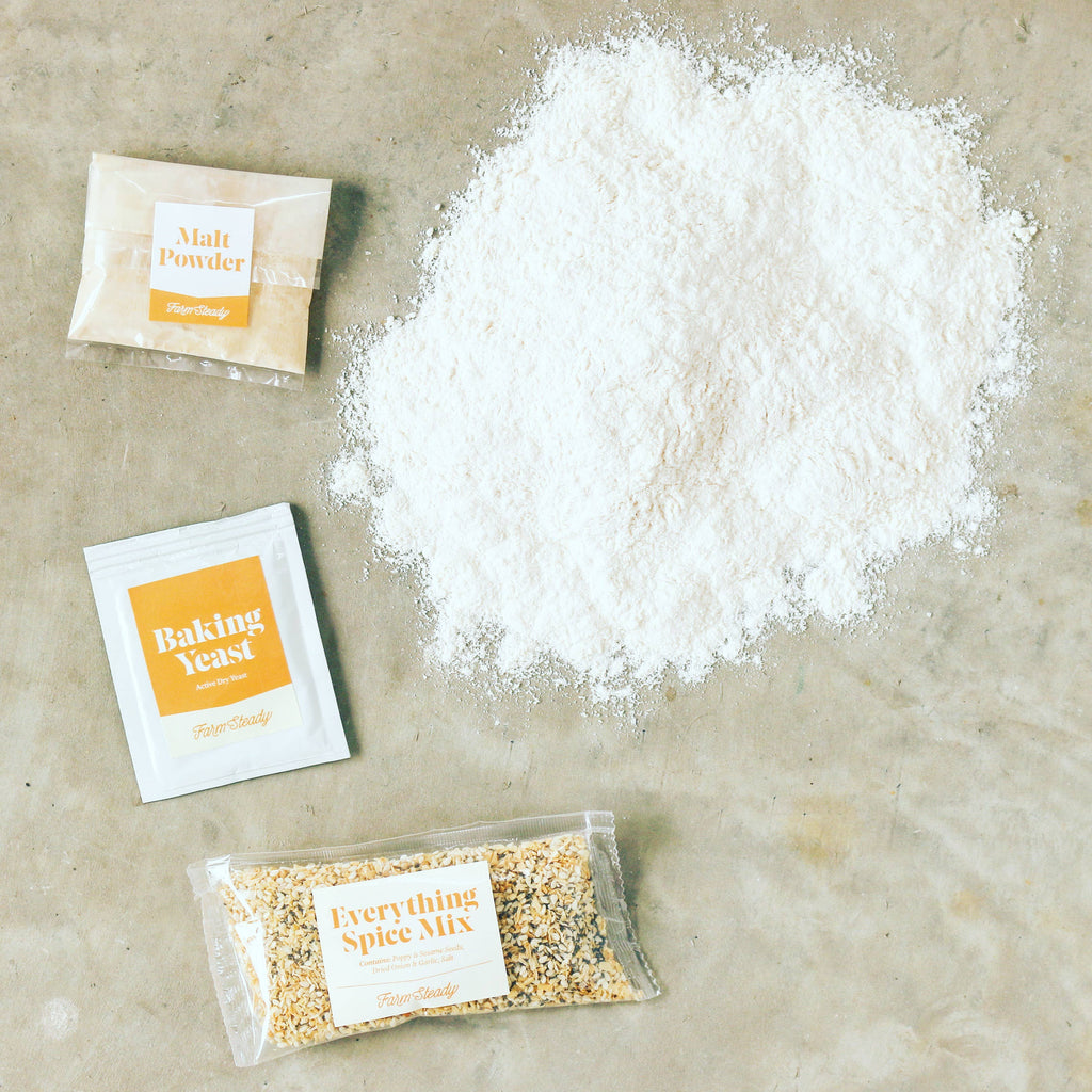 Farm Steady - Everything Bagel Ingredient Baking Mix